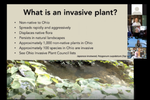Conquering Invasive Plants
