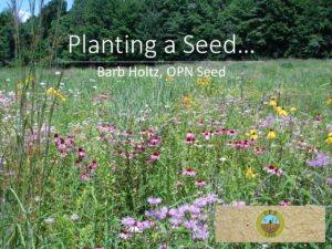 Planting a Seed Cover