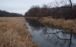 Beaver Creek Restoration Press Release_March 2021