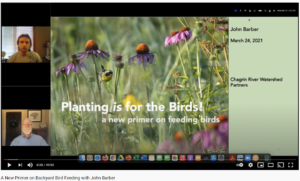 A New Primer on Backyard Bird Feeding