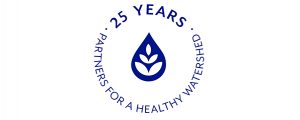 25th anniversary logo adjusted