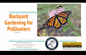 Our Future Flies with Pollinators