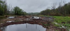 beavercreek image1