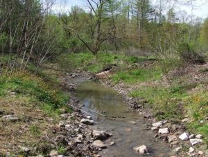 Sunnybrook Streambank Stabilization and Riparian Restoration Sunnybrook Streambank Stabilization and Riparian Restoration