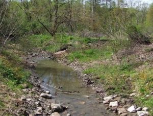 Sunnybrook Streambank Stabilization and Riparian Restoration
