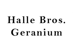 Halle Bros Geranium