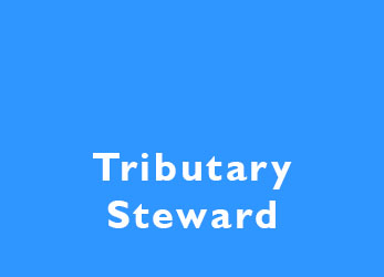 tributary steward