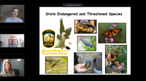 Protecting Native Wildlife Species