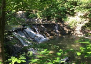 June 28 Press Release