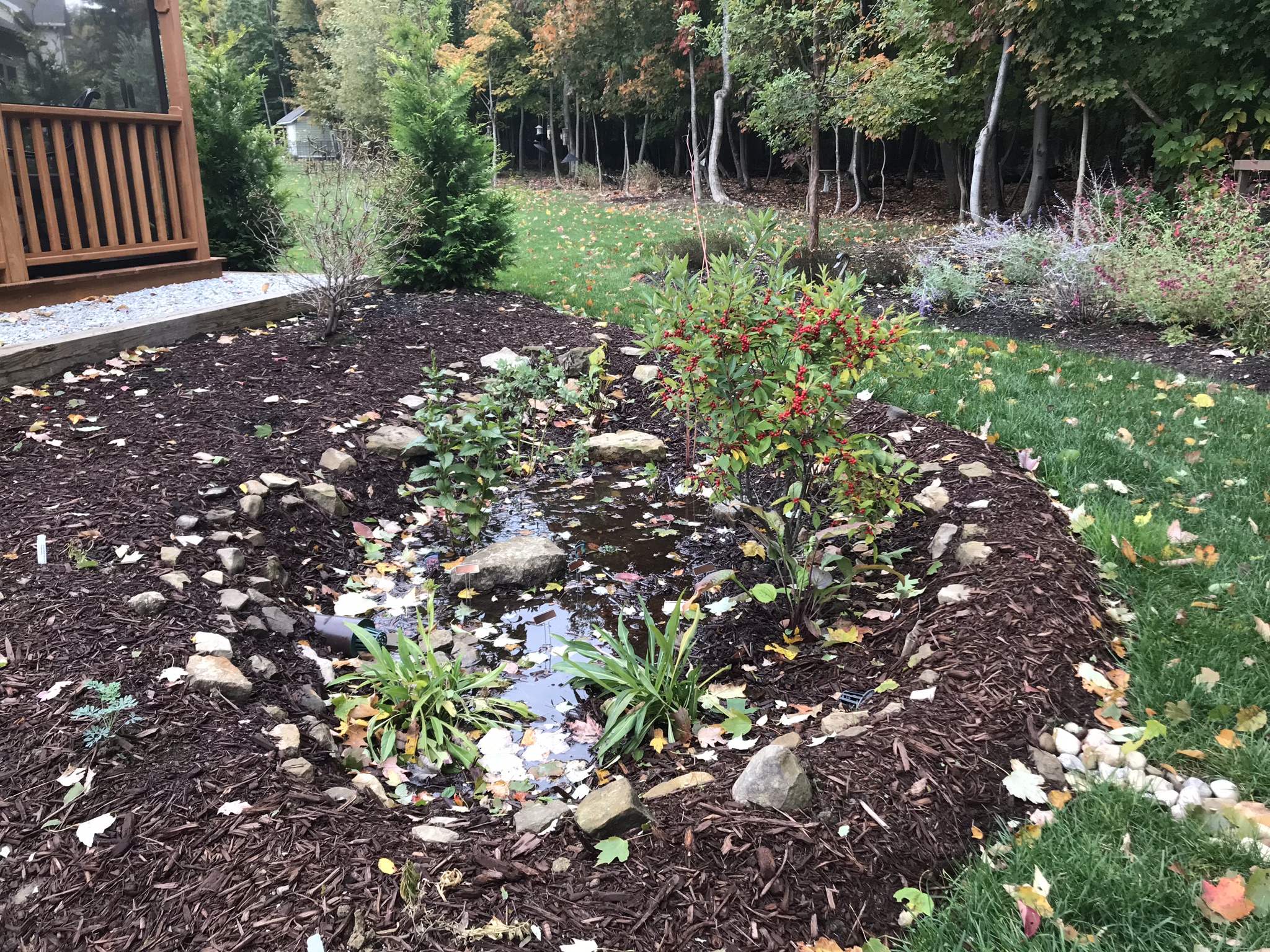Installing a rain garden? You could be eligible for a rebate