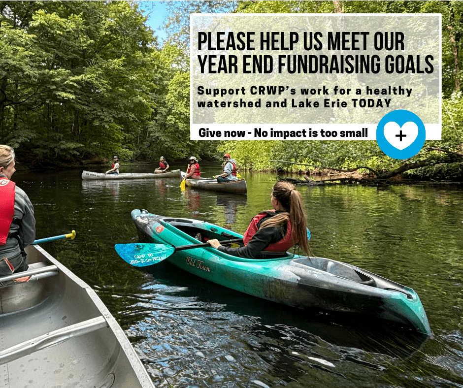 Copy of End of Year Appeal Letter (Facebook Post)