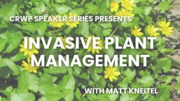 Invasive Plant Management Invasive Plant Management