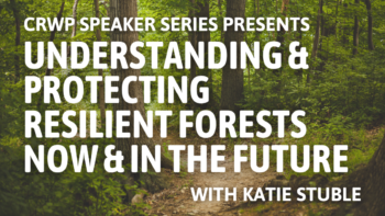 Understanding & Protecting Resilient Forests Now & In the Future Understanding & Protecting Resilient Forests Now & In the Future