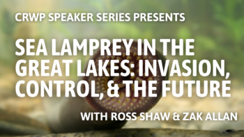 Sea Lamprey in the Great Lakes: Invasion, Control, and the Future Sea Lamprey in the Great Lakes: Invasion, Control, and the Future