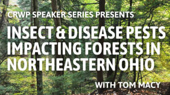 Insect & Disease Pests Impacting Forests In Northeastern Ohio Insect & Disease Pests Impacting Forests In Northeastern Ohio