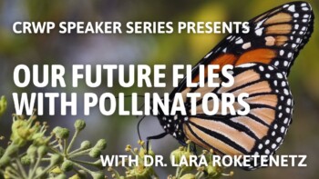 Our Future Flies with Pollinators Our Future Flies with Pollinators